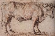 Peter Paul Rubens Bull oil painting picture wholesale